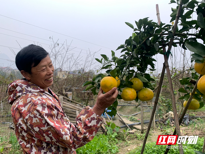 阳光致富典型|郭国珍和他的“花果山”