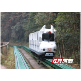 武陵源十里画廊：“网红电车”引客来