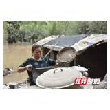 张家界：水退人进 灾后重建井然有序