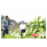 祝云武：全力做好灾后自救恢复生活生产秩序
