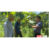 杨立斋：勇敢前行不言败 情洒乡村不言悔