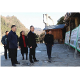 朱法栋深入天门山镇调研指导工作