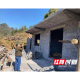 永定区王家坪镇：守住年关铁腕“控违”