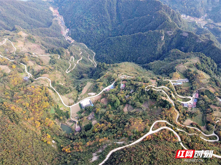 湖南慈利：“网红公路”让山货远走高飞
