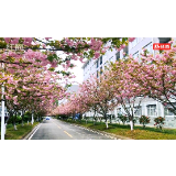喜大普奔！张家界要有省管本科学院了！