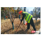 张家界永定区茅岩河镇：情系环卫工 迎春送温暖
