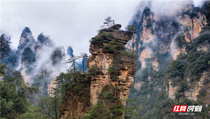 红网张家界站_党政门户,主流媒体