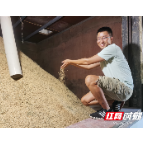 脱贫攻坚典型样板村丨桑植县合群村:产业扶贫“造血”富民