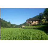 慈利县南山坪乡：“返岗专列” 温暖人心