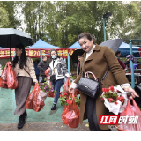 城市绿化周|张家界市免费为市民发放万盆绿植 为城市增颜添色