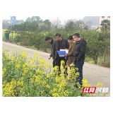 慈利县零阳镇积极开展“稻油”水旱轮作试点项目油菜种植面积验收工作