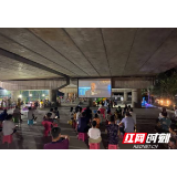 小银幕 大内容——慈利县电影公司公益电影放映纪实