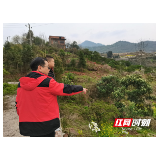 慈利县零阳镇紫霞社区开展“禁种铲毒”踏查行动