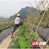 为乡村振兴注入新活力 ——张家界市武陵源区协合乡积极推进乡村产业人才“倍增”工程