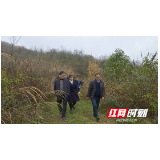 东方希望集团来桑植县考察前期项目实施情况