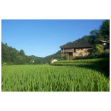 湖南慈利：“党史课堂”搬进了农村“小屋场”