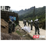 永定区官黎坪街道：防汛应急大练兵保主汛期安全