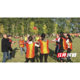慈利县琵琶洲生态农业文化园：花海花样多 奏响乡村振兴曲