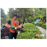【绿色张家界】春季绿化养护正当时