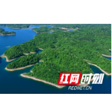 湖南慈利:绿野欢歌