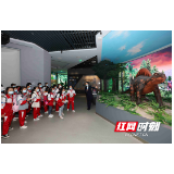 张家界世界地质公园：地质科普研学游 （组图）