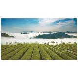 张家界市桑植县：元帅故乡今更红