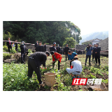桑植县人民法院：为群众办实事 加大案件执行力度