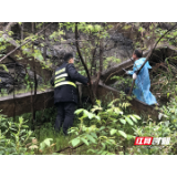 张家界西收费站全力做好强降雨期间的安全隐患排查工作