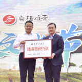 2021首届中国桑植白茶文化节开幕