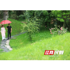 张家界市武陵源区：绿意盎然夏色美 生态民宿引客来