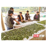 湖南湘煤集团：为三王村描绘乡村振兴“蓝图”