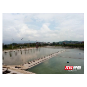 张家界军生农业综合开发有限公司：严格实施水产养殖用药减量行动 确保水产品质量安全