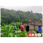 桑植县洪家关白族乡全力推进控违拆违工作