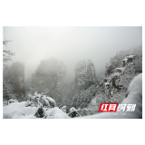 张家界：探寻山顶的“神仙”