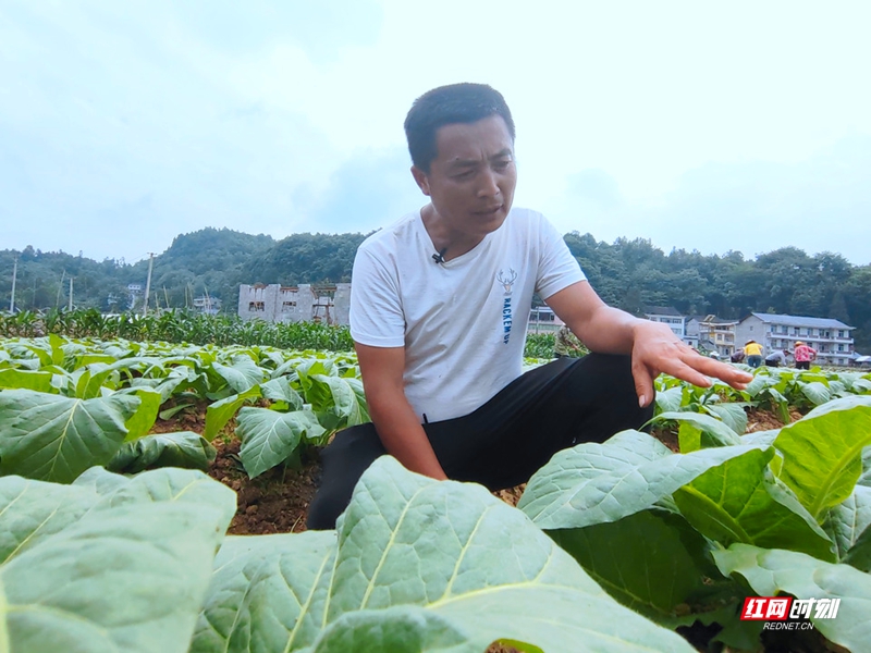 向文武.jpg
