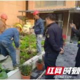 我为群众办实事丨武陵区永安街道开展清理楼顶种菜行动 