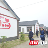 湖南省司法厅现场指导安乡县法治乡村建设工作