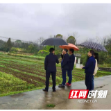 桃源黄石镇：党建引领吹响春耕生产的冲锋号