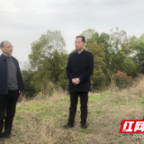 安乡县领导调研文物保护和文旅融合工作