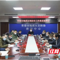 王先波主持召开全市地质灾害防治工作调度会