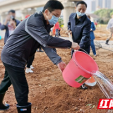 厚植生态底色 共建绿色常德 曹志强、周振宇等市领导参加义务植树活动