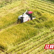 常德西湖：聚焦关键环节 严守耕地保护红线