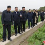 周振宇在市农科院调研时强调  为常德加快从农业大市 迈向农业强市作出更大贡献