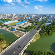 津市市：“免证办”助力政务服务跑出“加速度”