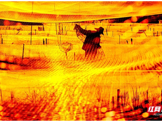 组图丨《秋天的收获》