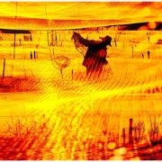 组图丨《秋天的收获》