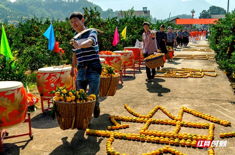 世界的橘乡 田辉举 摄.jpg