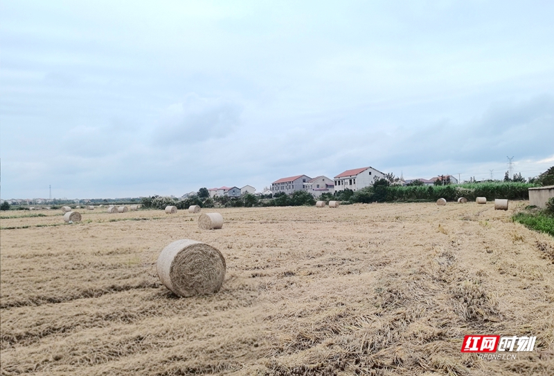 微信图片_20251117100336_14_2190.jpg 微信图片_20251117100336_14_2190.jpg