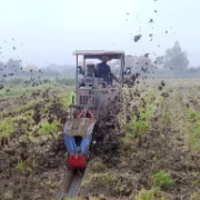 稻浪翻金“秆”尽其用 澧县涔南镇“四变”绘就生态农业新图景