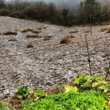 常德市石门县壶瓶山镇降下湖南省2025年下半年首场雪